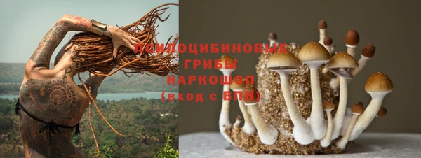 гидропоника Арсеньев
