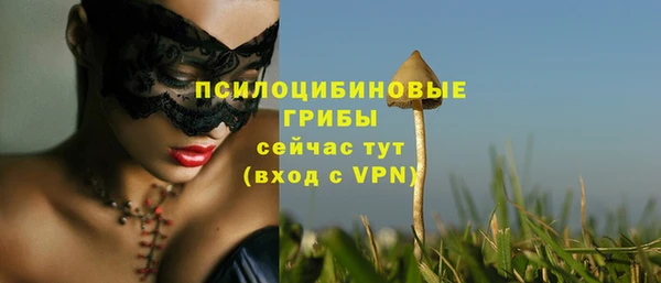 крисы Армянск
