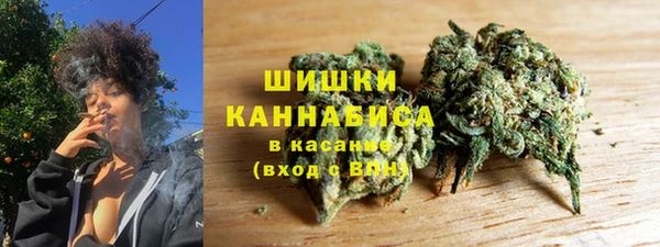 крисы Армянск